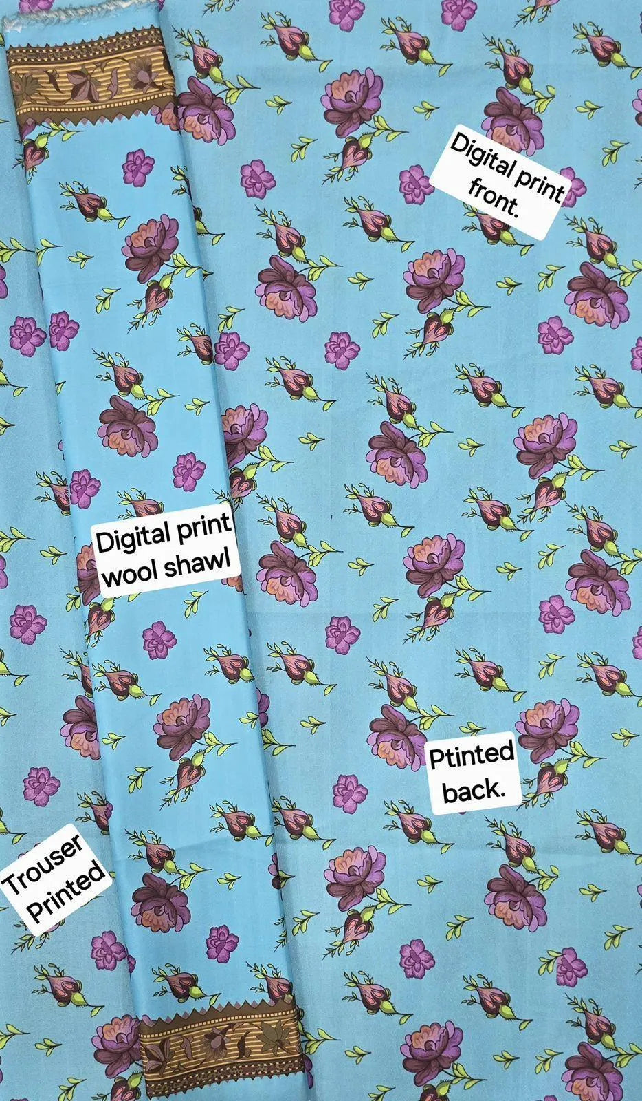 Blue Digital Printed Karandi